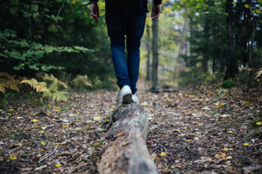 Chiropractic Frederick MD Walking in the Forest