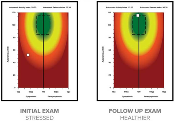 Chiropractic Frederick MD Exam