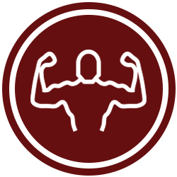 Muscle